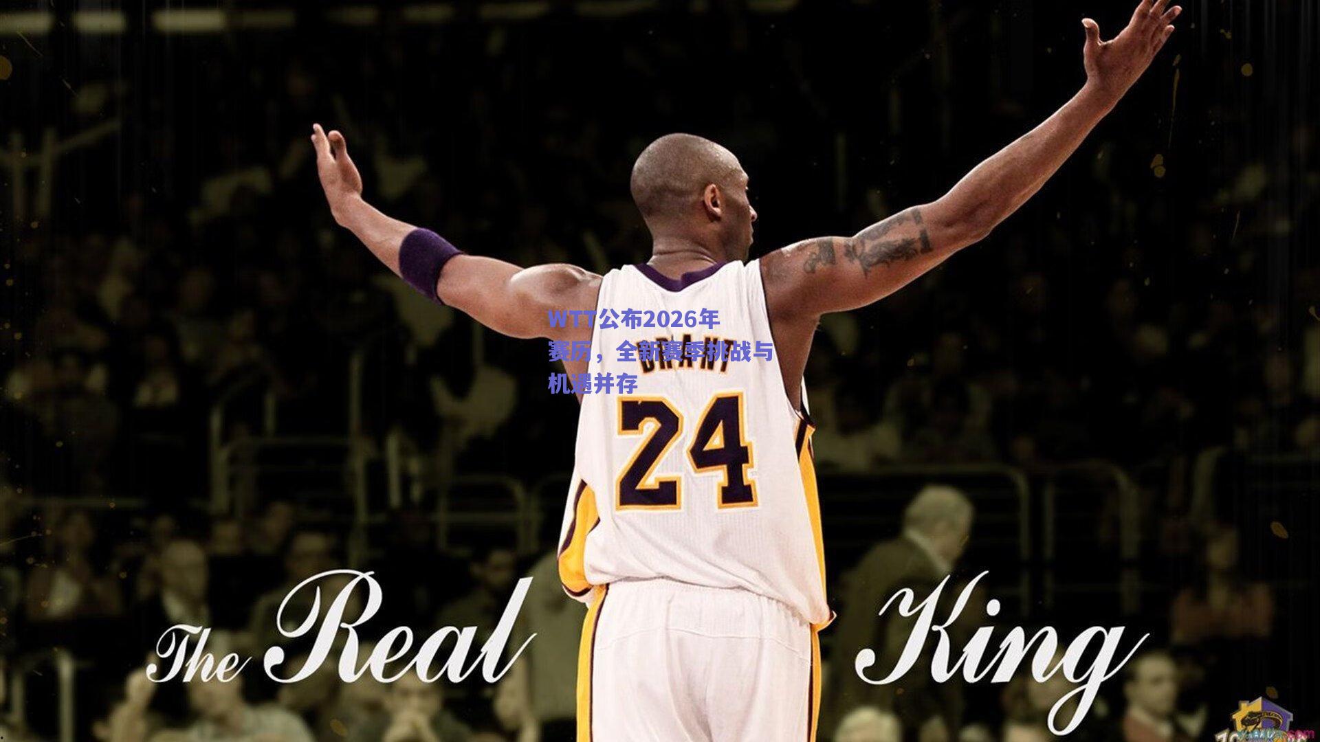 mk体育中国_WTT公布2026年赛历，全新赛季挑战与机遇并存